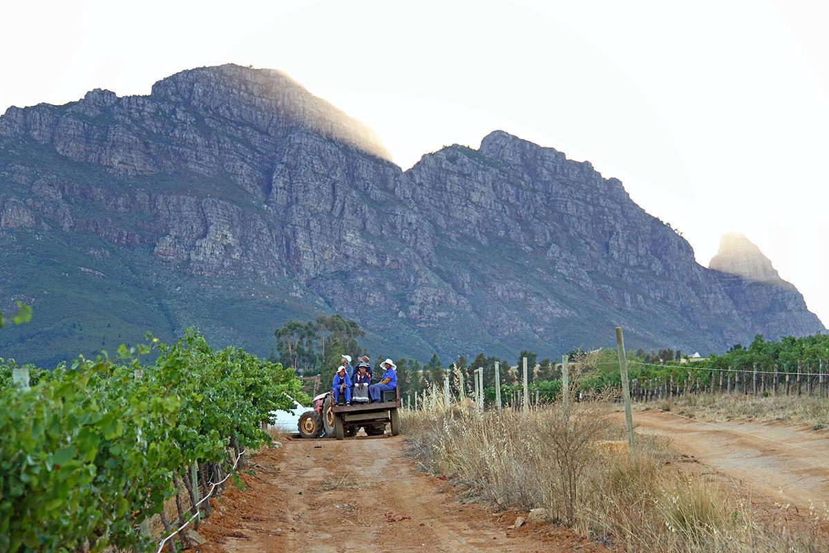 Muratie Wine Estate Stellenbosch Kültér fotó