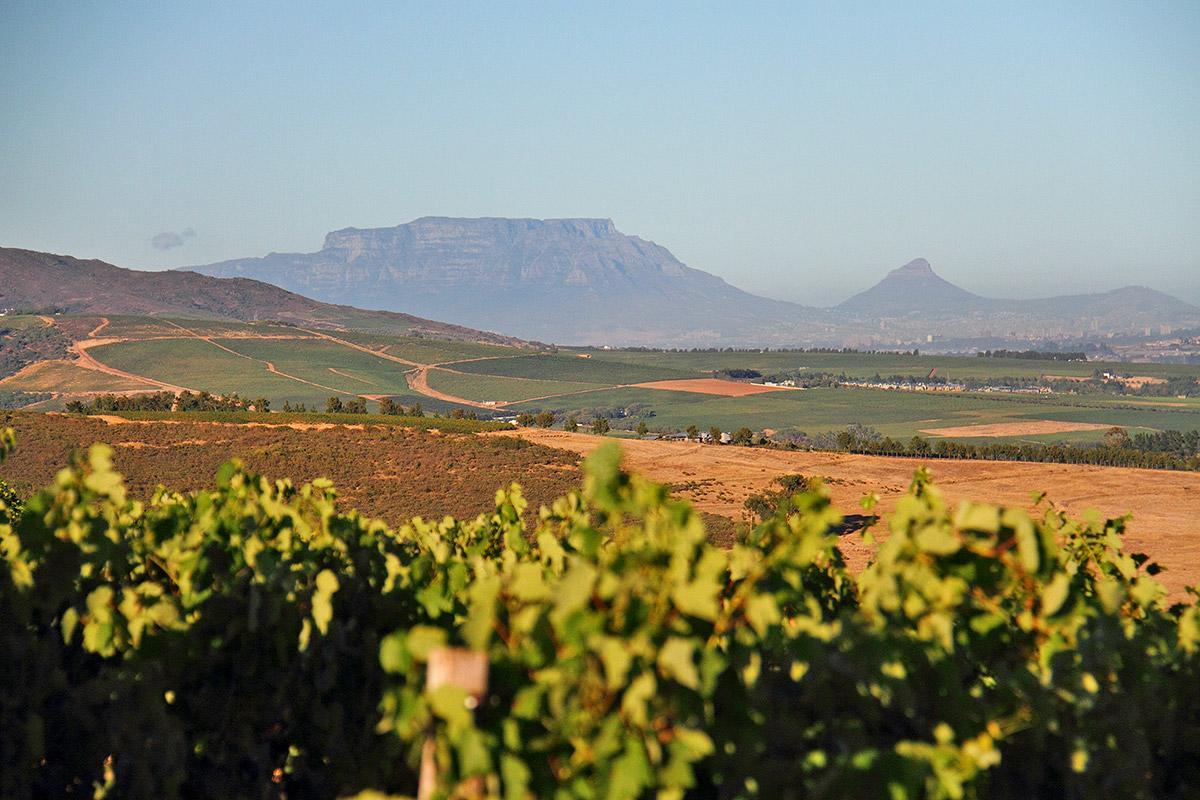 Muratie Wine Estate Stellenbosch Kültér fotó