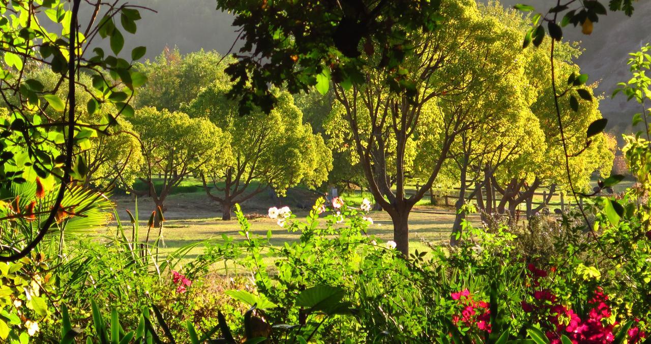 Muratie Wine Estate Stellenbosch Kültér fotó