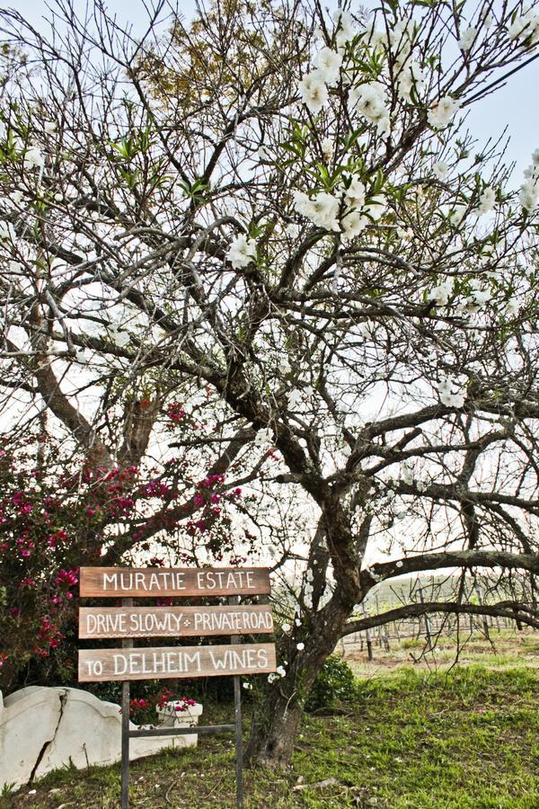 Muratie Wine Estate Stellenbosch Kültér fotó